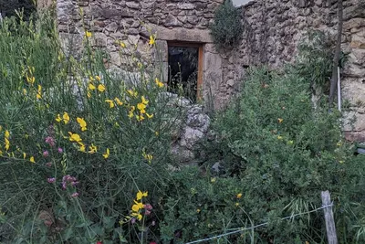 Image de Grande pièce voûtée naturellement fraîche dans une ancienne bergerie