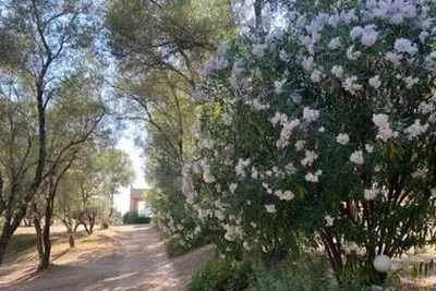 Camping La Sposata