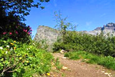 VVF Villages Les Fontaines des Vosges