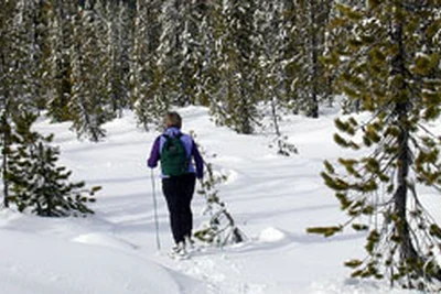 Chalet Villard-de-Lans