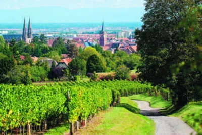 VVF Villages La Plaine d'Alsace