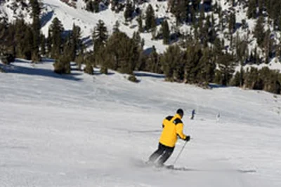 Chalet Les Crocus