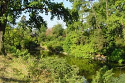 Camping Le Bois du Bardelet