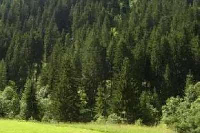 Résidence Perce Neige A-B-C-D