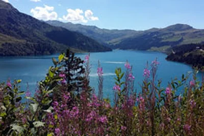 Camping Tohapi Les Iles