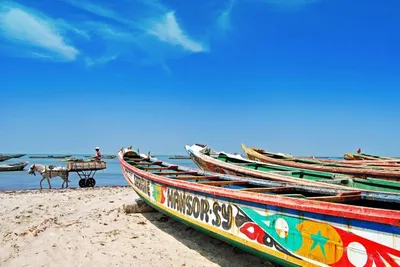 Circuit Coralia Au Cœur du Sénégal et Séjour au Kappa Club Royal Horizon Baobab 4* nl