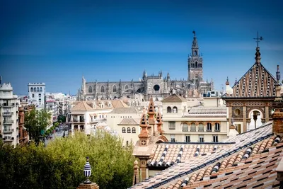 Hôtel Las Casas de los Mercaderes 3* «sans transfert»