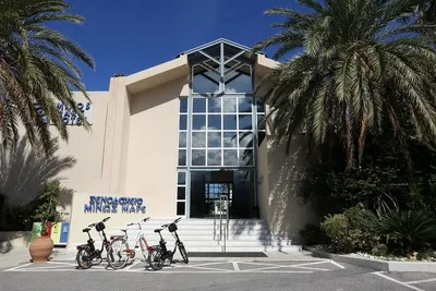 Hôtel Minos Mare 4*