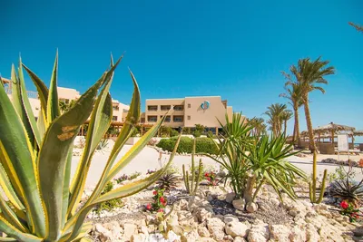 Hôtel The Breakers Diving & Surfing Lodge 4*
