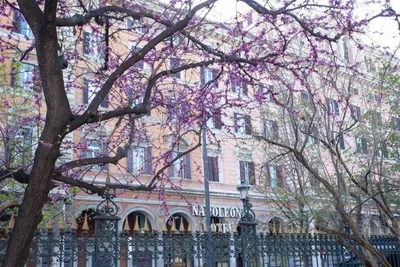 Hôtel Napoleon 4* - Sans transfert