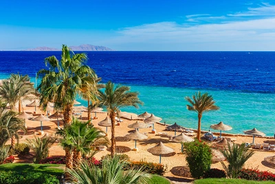 Hôtel Barceló Tiran Sharm 4* by Ôvoyages