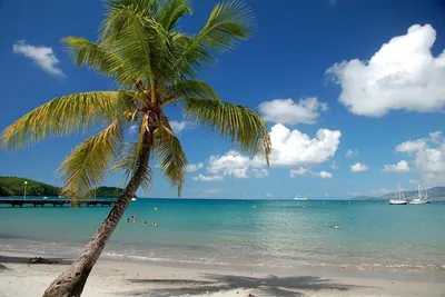 Village Créole 3* avec Location de voiture et croisière en catamaran