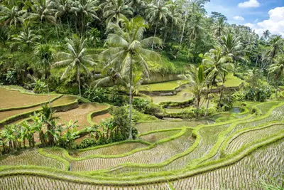 Combiné Bali, Jungle et Sable de Bali 3*