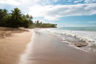 Hôtel Sublime Samana 5* Luxe