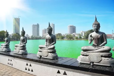 Circuit Splendeurs du Sri Lanka et extension Fihalhohi Island 4* Maldives