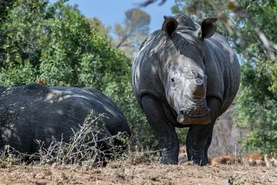 Circuit Splendeurs d'Afrique du Sud & Eswatini