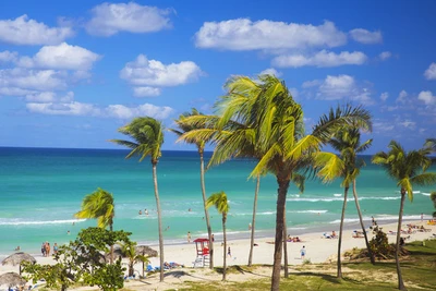 Hôtel Starfish Cuatro Palmas 4* - Adult Only