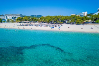 Hôtel Globales Mimosa 4*