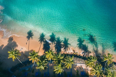 Hôtel Langley Resort Fort Royal 4*