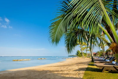 Hôtel Tamassa Bel Ombre 4* sup