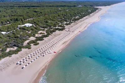 Hôtel Alborea Ecolodge Resort 5* - Arrivée Bari