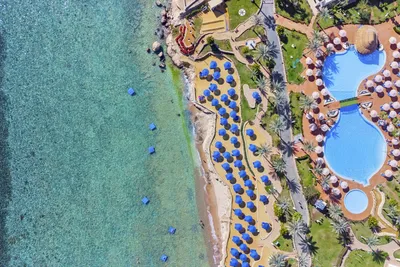 Hôtel Pickalbatros Royal Grand Resort 5* - Adult Only