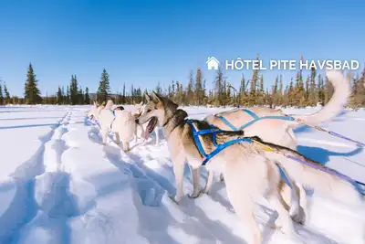 Hôtel Pite Havsbad Pitea - Séjour au Coeur de la Laponie Suédoise