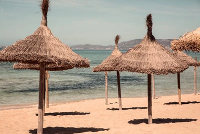Hôtel Cook's Club Palma Beach 3* - Adult Only