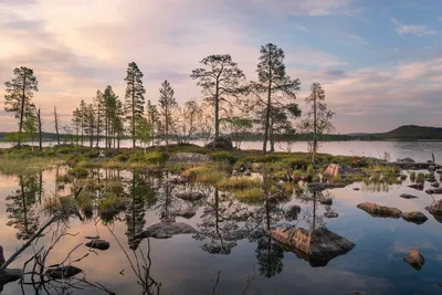 Finlande en Eté : Séjour Multi-Activités à Savukoski