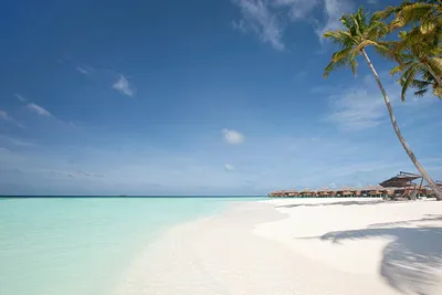 Hôtel Constance Halaveli Resort 5*Luxe