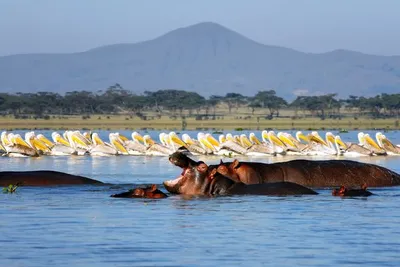 Circuit Merveilles du Kenya Samburu