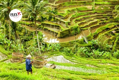 Circuit Splendeurs de Bali & Komodo