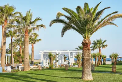 Hôtel Grecotel Creta Palace 5*