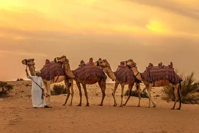 Circuit Le Royaume des sables