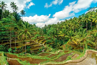 Circuit privé Bali Paradis option 4 étoiles