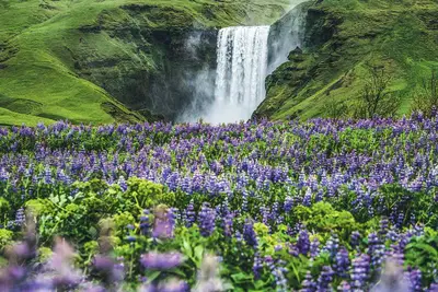 Road Trip Grand Tour de l'Islande