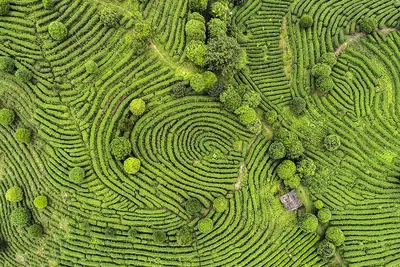 Circuit privé Nature et temples du Sri Lanka