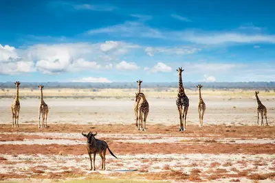 Circuit L'Afrique grandeur nature : déserts, canyons et grands espaces