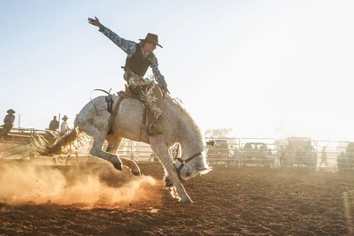 Circuit Cowboys et Yellowstone entre nous