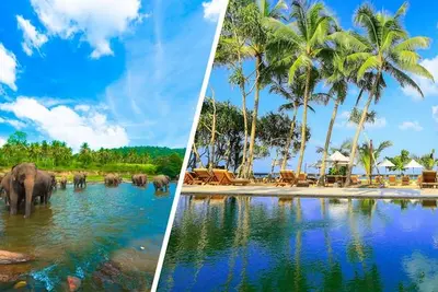 Combiné Balade Sri Lankaise privative 4* & Ôclub Experience Pandanus Beach Resort & Spa 5*