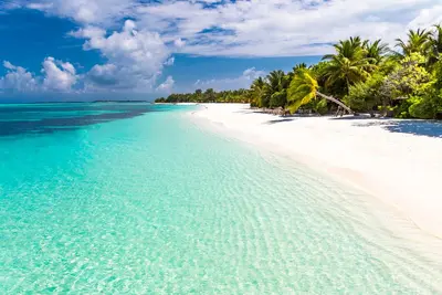 Hôtel Riu Atoll 4*