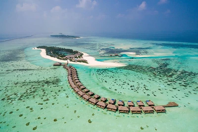Hôtel Cocoon 5*