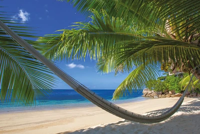 Hôtel Coco de Mer & Black Parrot Suites 4*