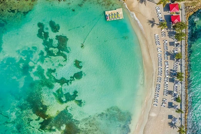 Hôtel & Spa La Créole Beach 4*