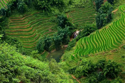 Circuit Vietnam Insolite