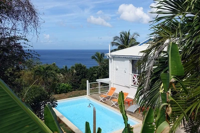 Villa Canne Douce