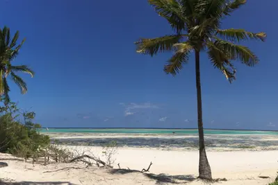 Circuit Privatif Tanzanie : Entre Faune & Sable de Pingwe