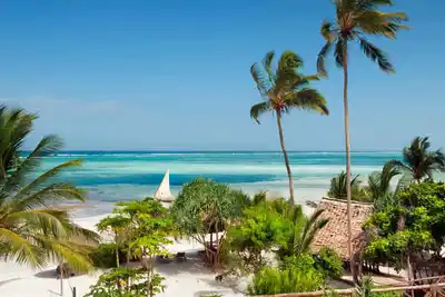 Circuit Privatif des Charmes de la Savane Africaine à l'île aux Epices & plage de Kiwengwa