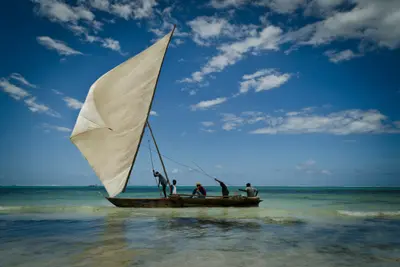Circuit Privatif de la Savane Africaine à l'île aux Epices & plage de Pingwe