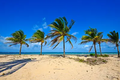 Circuit des Terres Sauvages au Lagon de Diani Beach 3*